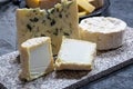 Cheese collection, French cheeses made from goat, cow and sheep melk: semi hard Roquefort blue cheese, soft Chabichou of Poitou