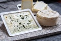 Cheese collection, French cheeses made from goat, cow and sheep melk: semi hard Roquefort blue cheese, soft Chabichou of Poitou