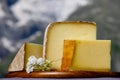 Cheese collection, French cow cheese comte, beaufort, abondance and french mountains village in summer in Haute-Savoie on Royalty Free Stock Photo