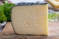 Cheese collection, French fol epi  cheese with many little holes, etorki, tomme noire des pyrenees and ossau iraty cheese Royalty Free Stock Photo