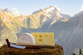 Cheese collection, French reblochon and emmental de savoie cheese served outdoor in Savoy region, with Alpine mountains peaks on