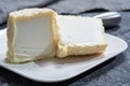 Cheese collection, French soft Chabichou of Poitou cheese made from goat milk in region Nouvelle-Aquitaine, France