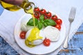 Cheese collection, organic mozzarella soft cheese served with ripe tomato and fresh green basil Royalty Free Stock Photo