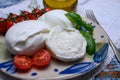 Cheese collection, organic mozzarella soft cheese served with ripe tomato and fresh green basil Royalty Free Stock Photo