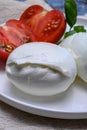 Cheese collection, organic mozzarella soft cheese served with ripe tomato and fresh green basil Royalty Free Stock Photo