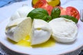 Cheese collection, organic mozzarella soft cheese served with ripe tomato and fresh green basil Royalty Free Stock Photo