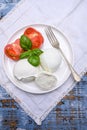 Cheese collection, organic mozzarella soft cheese served with ripe tomato and fresh green basil Royalty Free Stock Photo