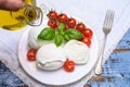 Cheese collection, organic mozzarella soft cheese served with ripe tomato and fresh green basil Royalty Free Stock Photo