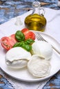 Cheese collection, organic mozzarella soft cheese served with ripe tomato and fresh green basil Royalty Free Stock Photo