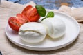 Cheese collection, organic mozzarella soft cheese served with ripe tomato and fresh green basil Royalty Free Stock Photo