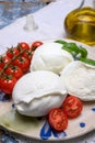 Cheese collection, organic mozzarella soft cheese served with ripe tomato and fresh green basil Royalty Free Stock Photo