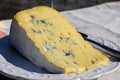 Cheese collection, piece of French Alps mountains blue cheese BLEU DE SAVOIE close up