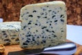 Cheese collection, piece of French blue cheese auvergne and fourme d`ambert Royalty Free Stock Photo