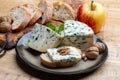 Cheese collection, piece of French blue cheese auvergne or fourme d\'ambert close up with blue mol