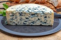 Cheese collection, piece of French blue cheese auvergne or fourme d\'ambert