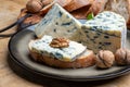 Cheese collection, piece of French blue cheese auvergne or fourme d\'ambert close up with blue mold