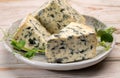 Cheese collection, piece of French blue cheese auvergne or fourme d`ambert Royalty Free Stock Photo