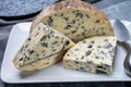 Cheese collection, piece of French blue cheese fourme d`ambert