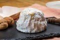 Cheese collection, soft cow French cheese with mold Gaperon artisanal lavored with cracked peppercorns and garlic produced in Royalty Free Stock Photo