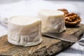 Cheese collection, soft goat French cheese with mold crottin de Chavignol produced in Loire Valley Royalty Free Stock Photo