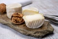 Cheese collection, soft goat French cheese with mold crottin de Chavignol produced in Loire Valley Royalty Free Stock Photo