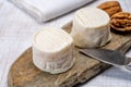 Cheese collection, soft goat French cheese with mold crottin de Chavignol produced in Loire Valley Royalty Free Stock Photo