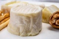 Cheese collection, soft goat French cheese with mold crottin de Chavignol produced in Loire Valley Royalty Free Stock Photo