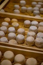 Cheese collection, soft goat French cheese with mold crottin de Chavignol produced near Sancerre, Loire Valley close up