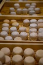 Cheese collection, soft goat French cheese with mold crottin de Chavignol produced near Sancerre, Loire Valley close up