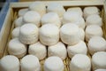 Cheese collection, soft goat French cheese with mold crottin de Chavignol produced near Sancerre, Loire Valley close up