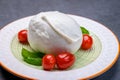 Cheese collection, soft white Italian mozzarella di bufala campana with fresh green basil leaves and red cherry tomatoes