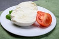 Cheese collection, soft white Italian mozzarella di bufala campana with fresh green basil leaves and red tomatoes