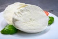 Cheese collection, soft white Italian mozzarella di bufala campana with fresh green basil leaves and red tomatoes