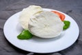 Cheese collection, soft white Italian mozzarella di bufala campana with fresh green basil leaves and red tomatoes