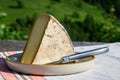 Cheese and wine, glasses of dry white Roussette de Savoie and Vin de Savoie wine from Savoy region, tomme and blue cheese, view on Royalty Free Stock Photo