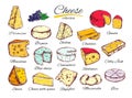 Cheese collection. Vector hand drawn illustration of cheese types . Isolated on white
