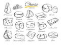 Cheese collection Vector hand drawn illustration of cheese types
