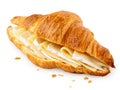 Cheese croissant filled with edam and brie slices isolated on white. Crumbs