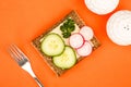 Cheese and Cucumber Open Face Rye Bread Sandwich With Radishes Royalty Free Stock Photo