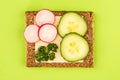 Cheese and Cucumber Open Face Rye Bread Sandwich With Radishes Royalty Free Stock Photo