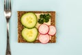 Cheese and Cucumber Open Face Rye Bread Sandwich With Radishes Royalty Free Stock Photo