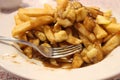 Quebec poutine in a white bowl with a fork in it