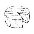 Cheese with cutted piece vectror. Creamy cutted brie or camembert cheese illustration. Delicious food image. French