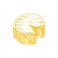 Cheese watercolor eimage. Creamy cutted brie or camembert cheese illustration. Delicious food image. French cuisine milk