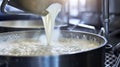 cheese dairy food processing