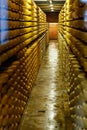 Cheese dairy plant warehouse with shelves stacked with rows of cheese Royalty Free Stock Photo