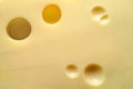 Cheese: Emmental closeup Royalty Free Stock Photo
