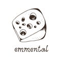 Cheese emmental hand drawn vector illustration