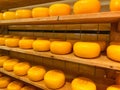 The Cheese Factory is one of the newest attractions in the centre of Volendam