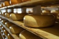 Cheese factory production shelves with assorted flavors of cheese wheels. Royalty Free Stock Photo